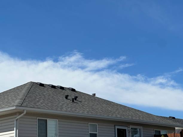 Best 4 Ply Roofing  in Crete, NE